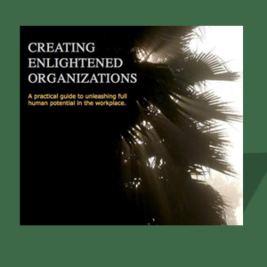 Creating Enlightened Organizations