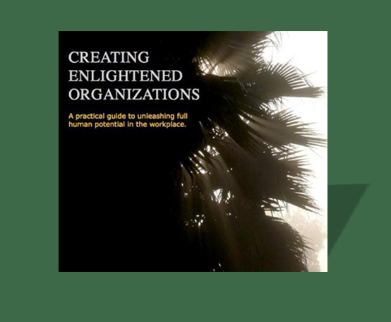Creating Enlightened Organizations